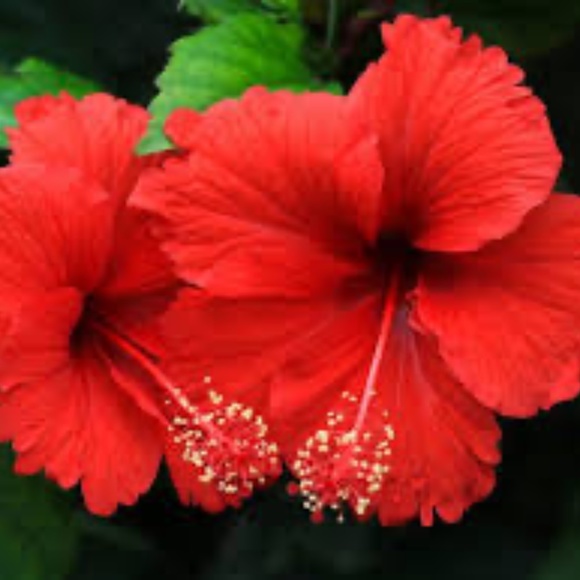 Meet your Posher, London - Picture 1 of 1